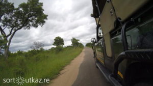 Kruger Park - Route 2