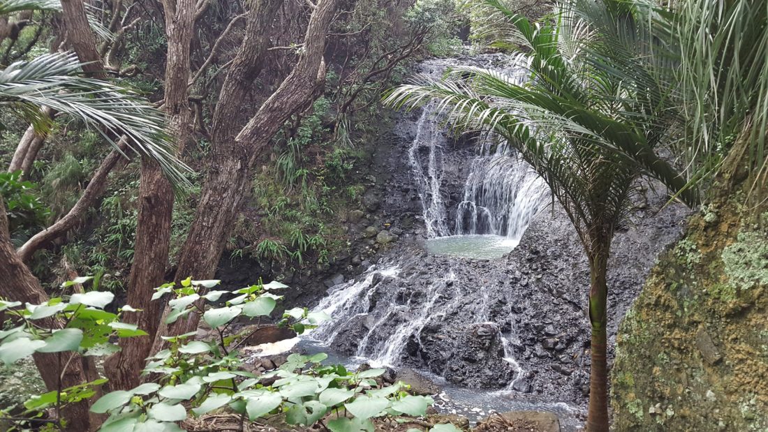 En direction de KareKare Falls (chutes d'eau) - Nouvelle-Zélande
