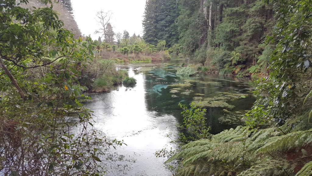 Hamurana Srings - Rotorua 1