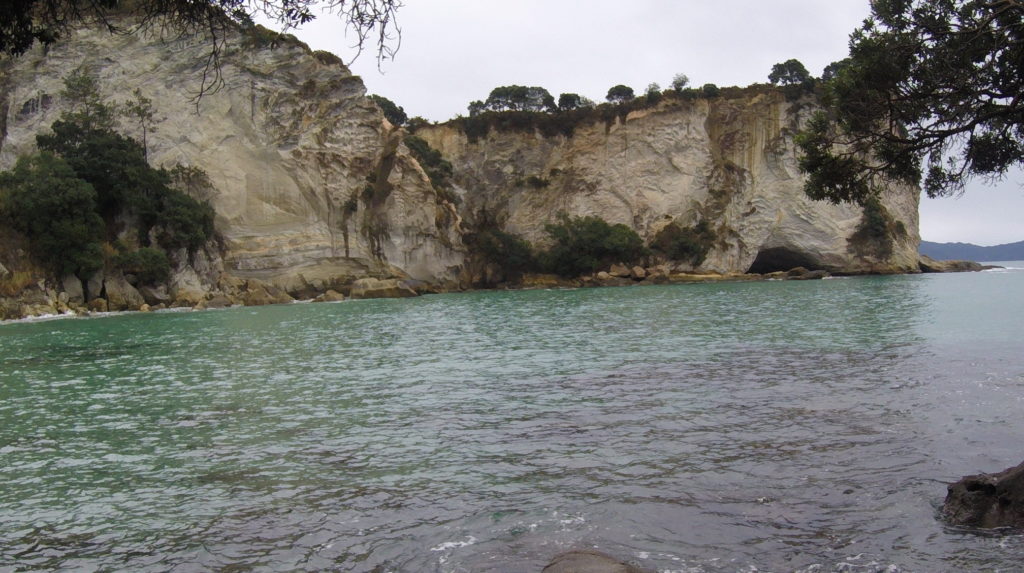 Stingray Bay - Coromandel