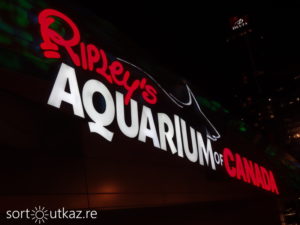 Ripley's Aquarium 1