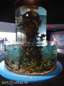 Ripley's Aquarium 2