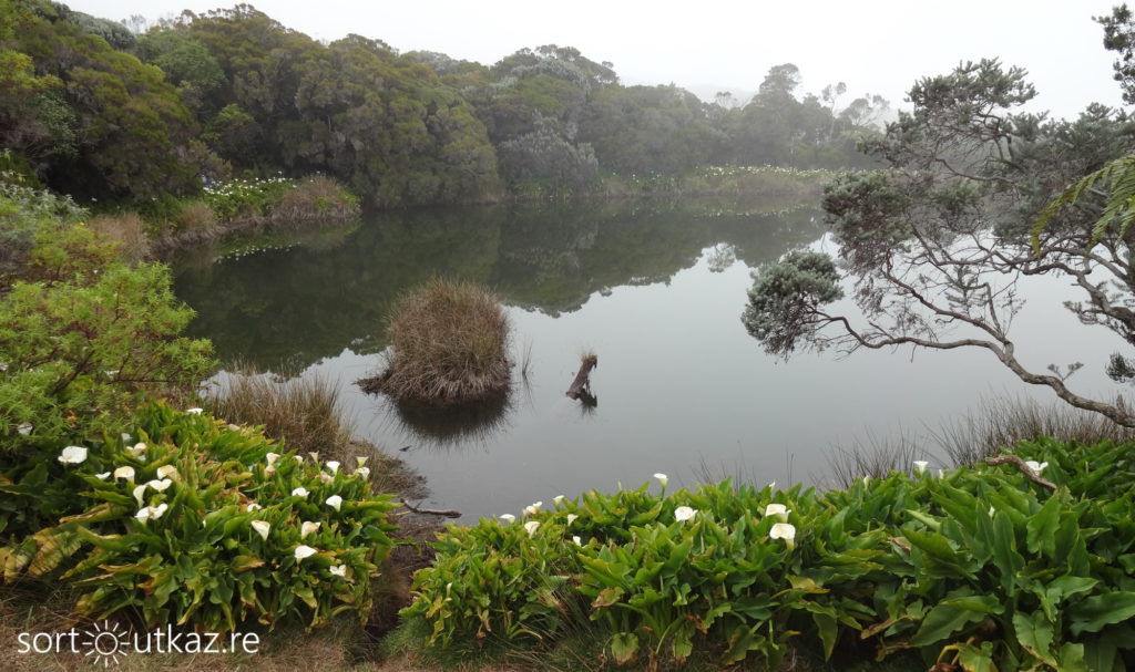 Piton de l'eau - Image de mise en avant