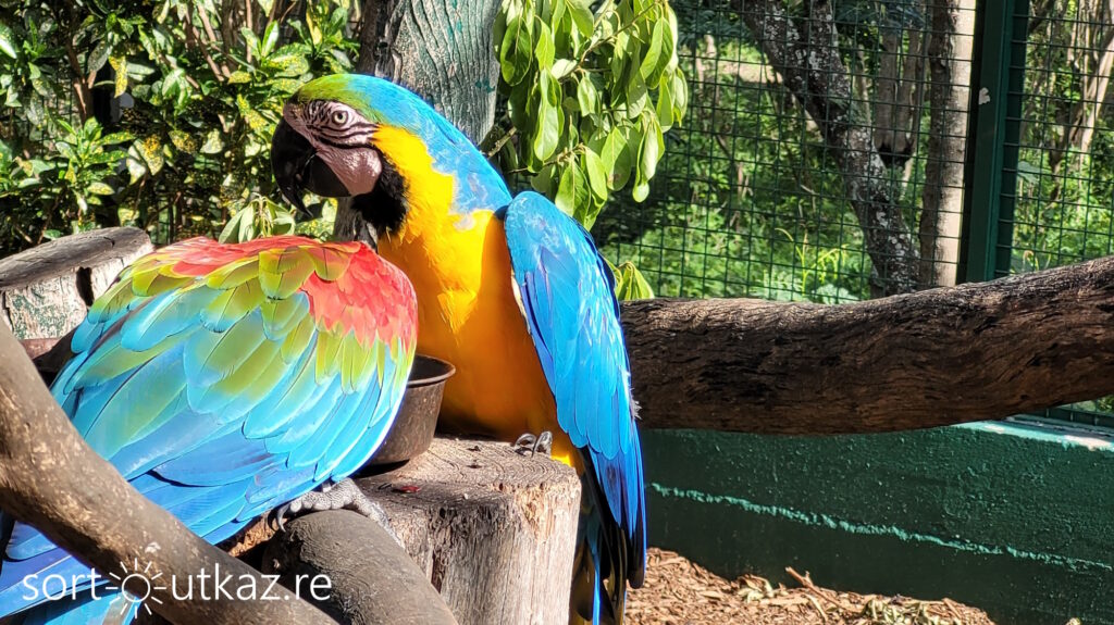 Parc zoologique de l'Etang Salé